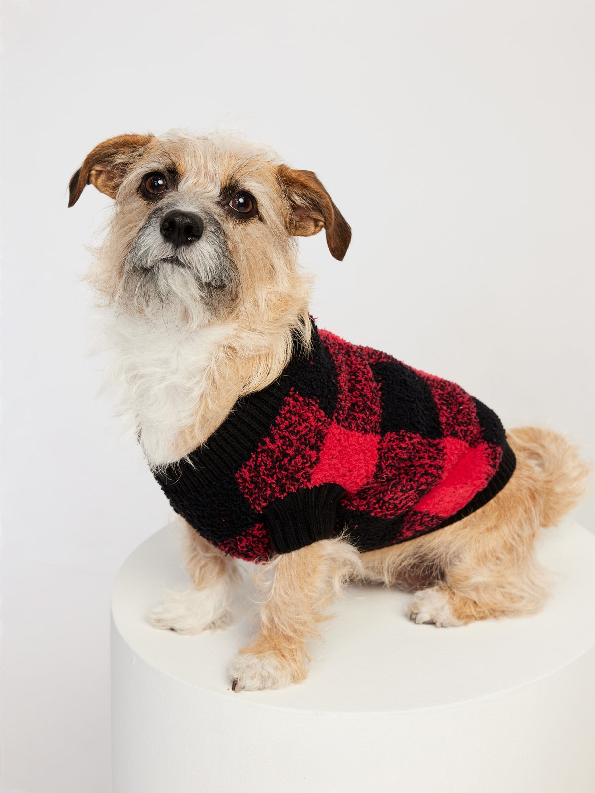 Cozy Printed Sweater for Pets