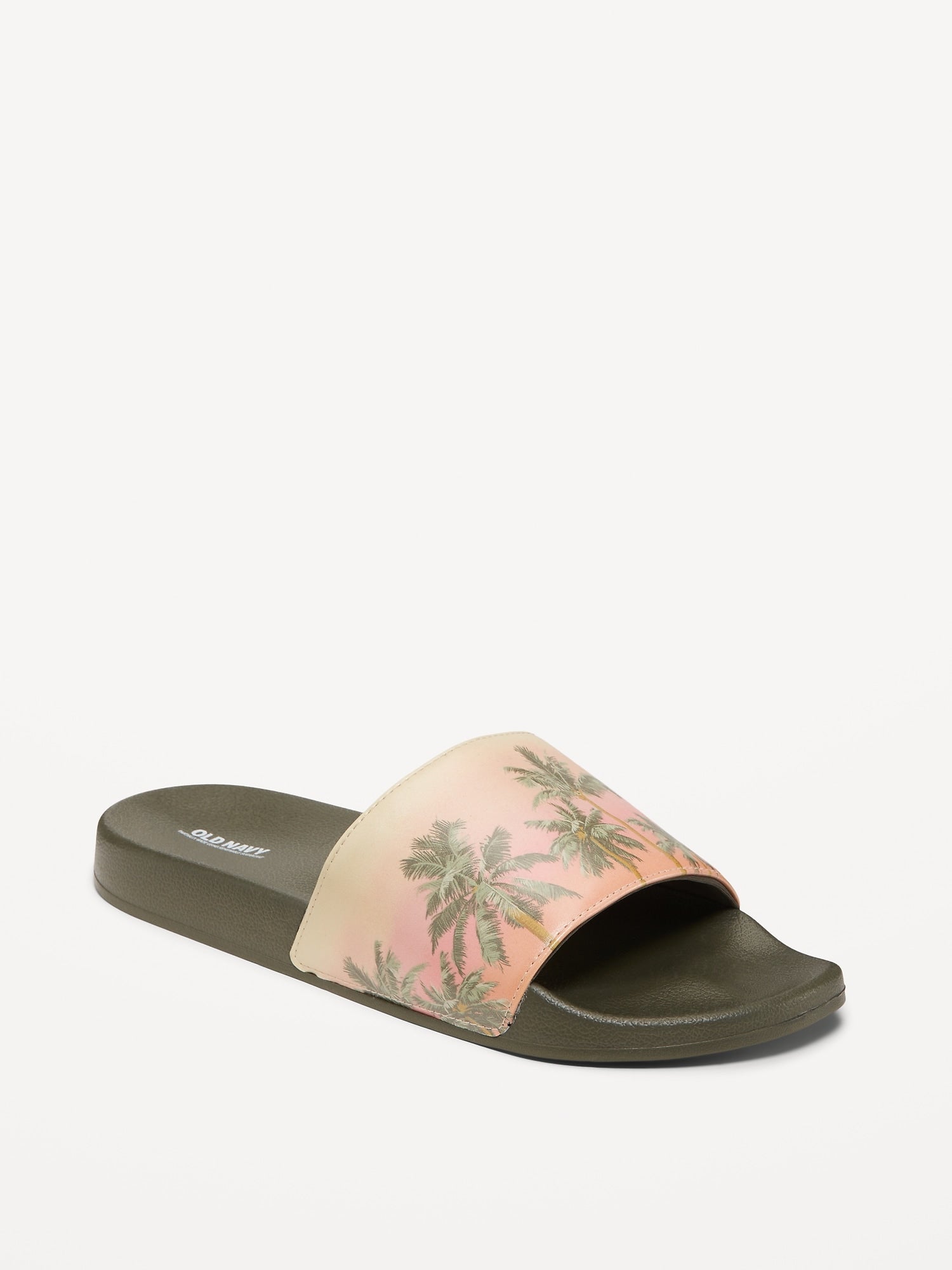 Palm Tree