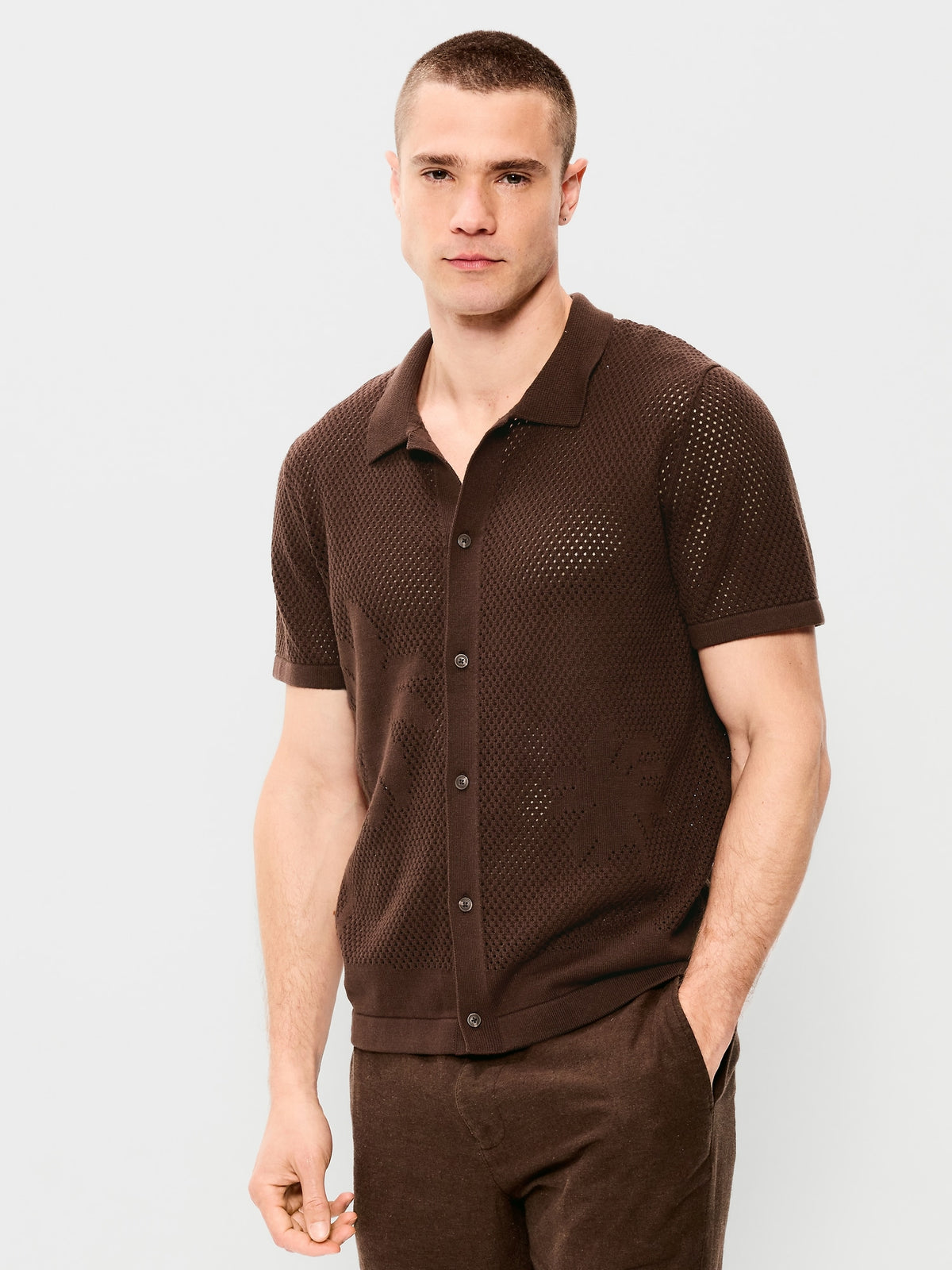 Brown Palm
